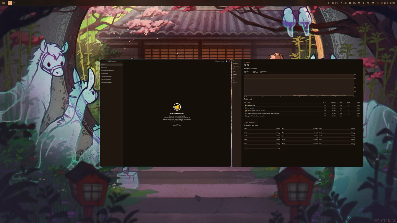 PikaOS Niri edition desktop